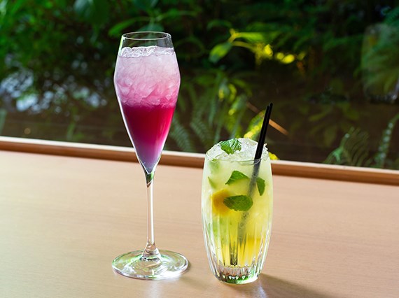 ノンアルコールカクテル 紫陽花 香若葉 ドリンク 日本料理 大阪 ホテル